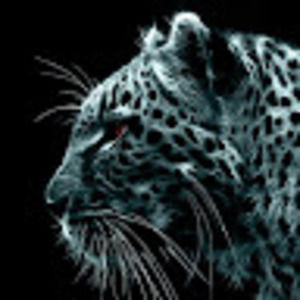 Meet your Posher, Gustavo